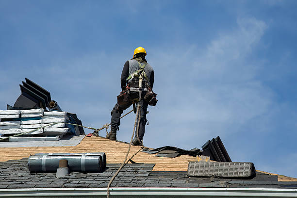 Professional Flat Roof Repair technician working in Hayfield, MN